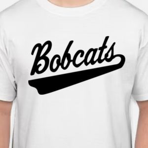 Funny sarcasm men shirt